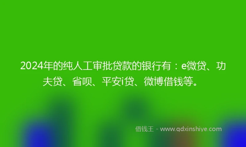 2024年的纯人工审批贷款的银行有：e微贷、功夫贷、省呗、平安i贷、微博借钱等。