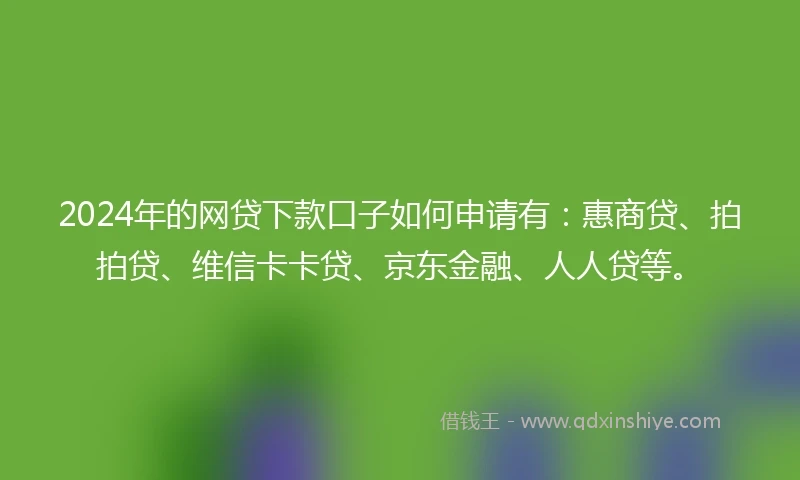2024年的网贷下款口子如何申请有：惠商贷、拍拍贷、维信卡卡贷、京东金融、人人贷等。