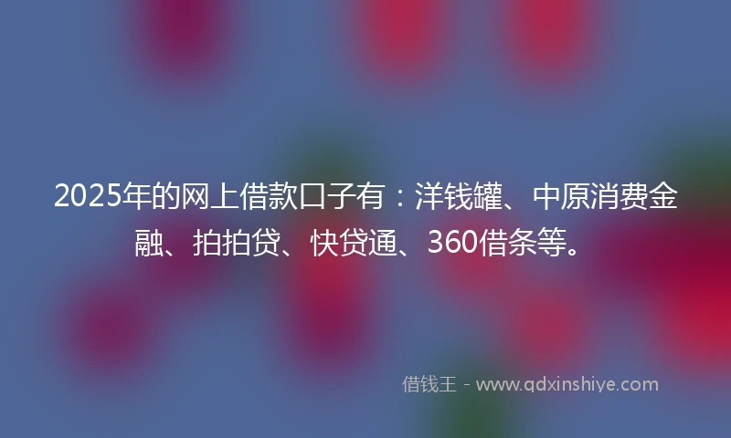 2025年的网上借款口子有：洋钱罐、中原消费金融、拍拍贷、快贷通、360借条等。