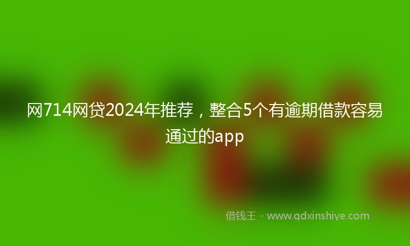 网714网贷2024年推荐，整合5个有逾期借款容易通过的app