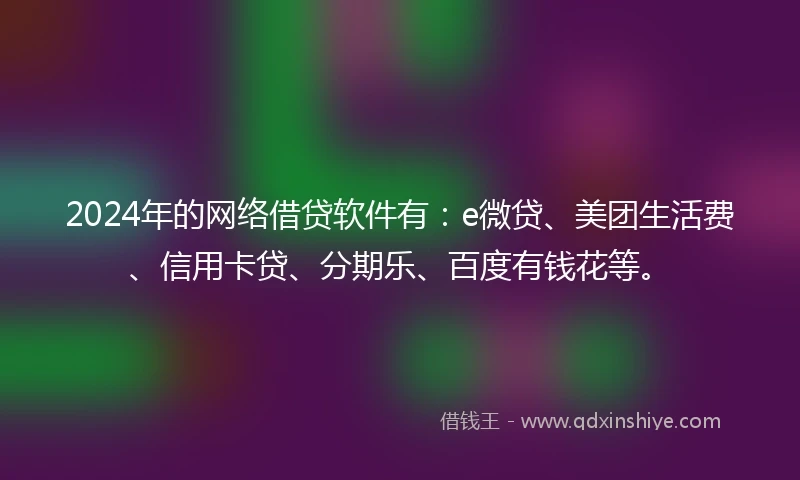 2024年的网络借贷软件有：e微贷、美团生活费、信用卡贷、分期乐、百度有钱花等。