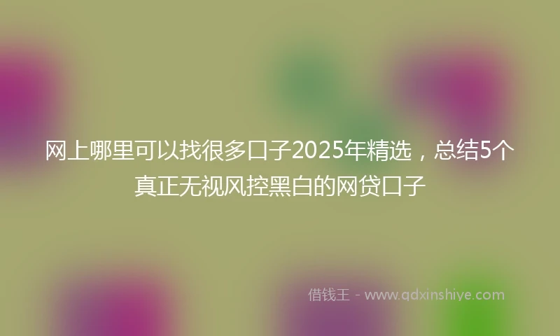 网上哪里可以找很多口子2025年精选，总结5个真正无视风控黑白的网贷口子