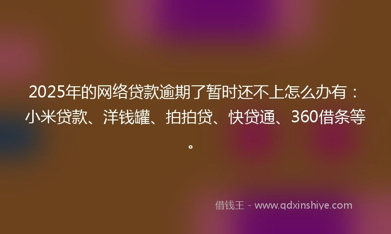 2025年的网络贷款逾期了暂时还不上怎么办有：小米贷款、洋钱罐、拍拍贷、快贷通、360借条等。