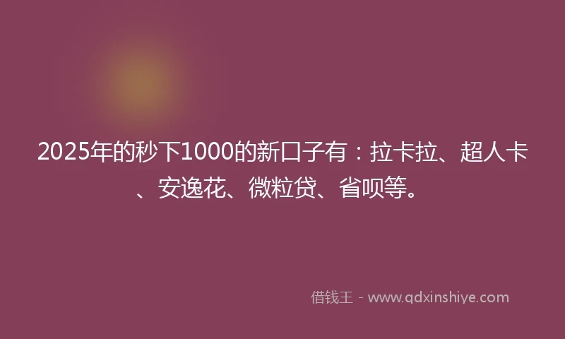 2025年的秒下1000的新口子有：拉卡拉、超人卡、安逸花、微粒贷、省呗等。
