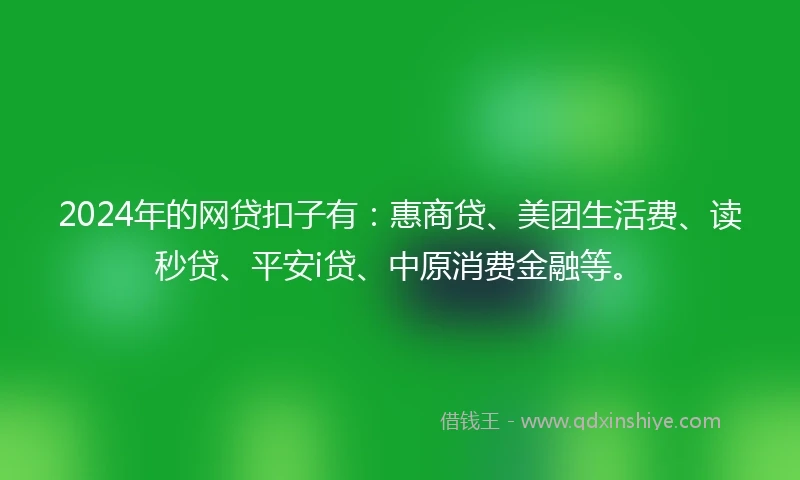 2024年的网贷扣子有：惠商贷、美团生活费、读秒贷、平安i贷、中原消费金融等。