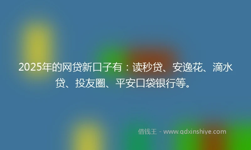 2025年的网贷新口子有：读秒贷、安逸花、滴水贷、投友圈、平安口袋银行等。