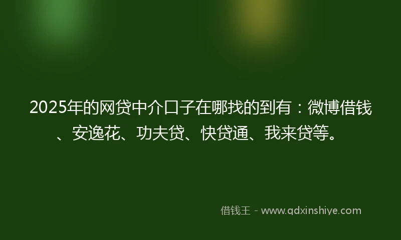 2025年的网贷中介口子在哪找的到有：微博借钱、安逸花、功夫贷、快贷通、我来贷等。