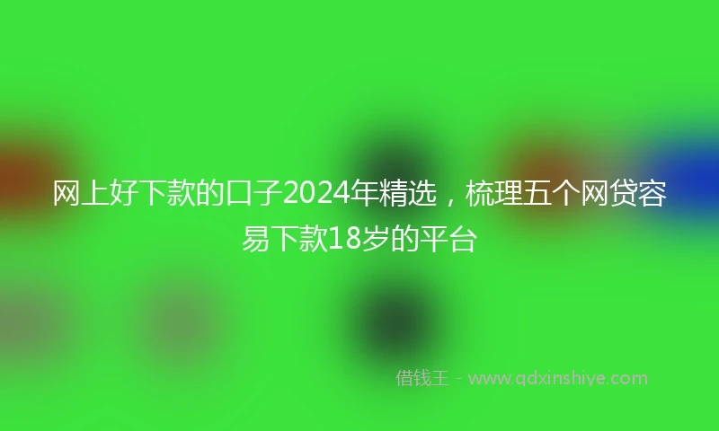 网上好下款的口子2024年精选，梳理五个网贷容易下款18岁的平台