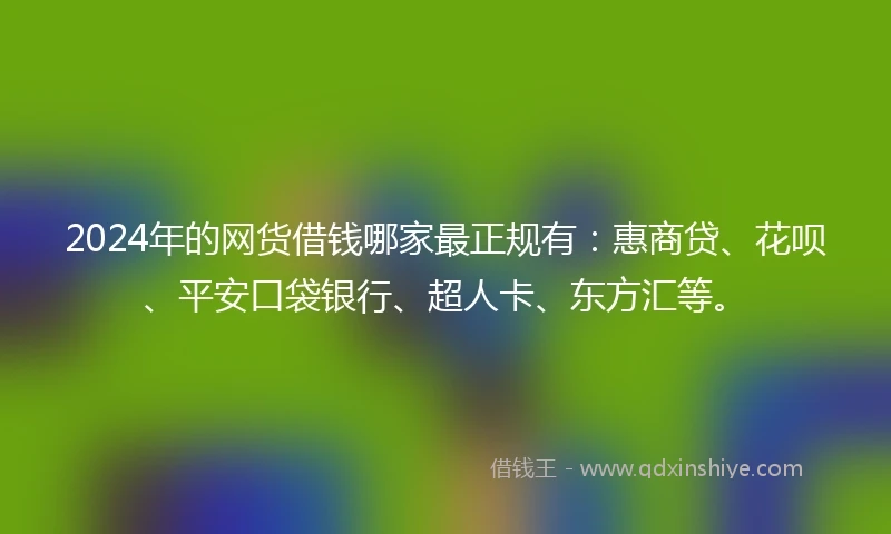 2024年的网货借钱哪家最正规有：惠商贷、花呗、平安口袋银行、超人卡、东方汇等。