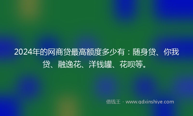 2024年的网商贷最高额度多少有：随身贷、你我贷、融逸花、洋钱罐、花呗等。