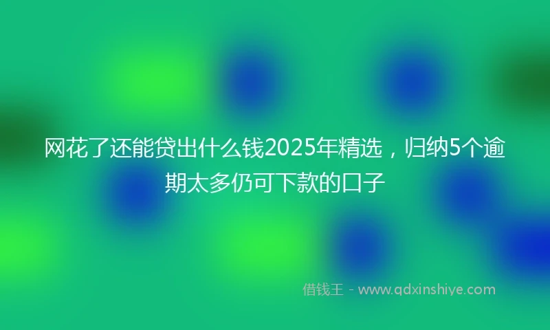 网花了还能贷出什么钱2025年精选，归纳5个逾期太多仍可下款的口子