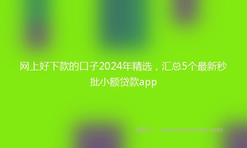 网上好下款的口子2024年精选，汇总5个最新秒批小额贷款app