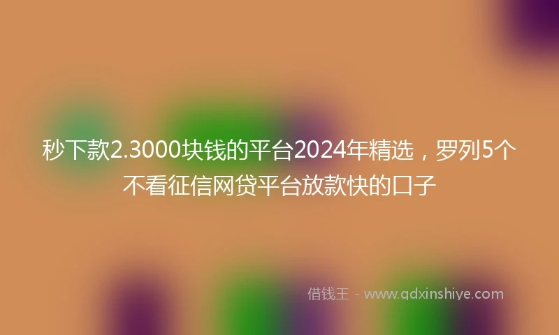 秒下款2.3000块钱的平台2024年精选，罗列5个不看征信网贷平台放款快的口子