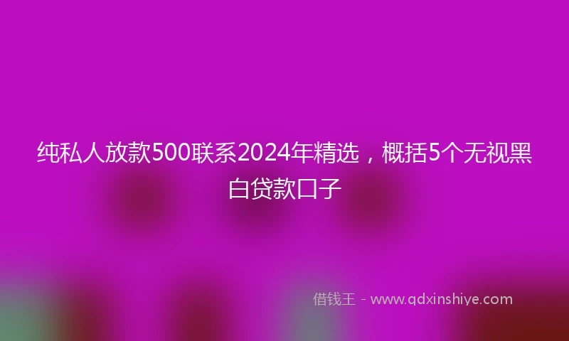 纯私人放款500联系2024年精选，概括5个无视黑白贷款口子