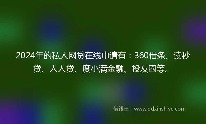 2024年的私人网贷在线申请有：360借条、读秒贷、人人贷、度小满金融、投友圈等。