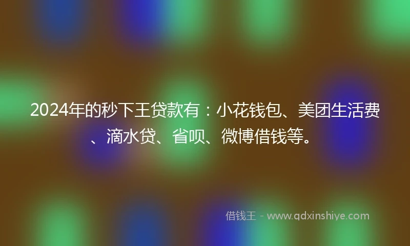 2024年的秒下王贷款有：小花钱包、美团生活费、滴水贷、省呗、微博借钱等。