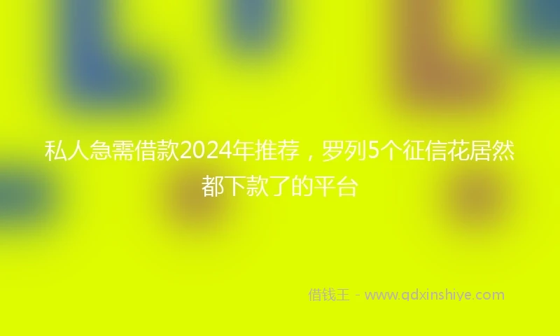 私人急需借款2024年推荐，罗列5个征信花居然都下款了的平台