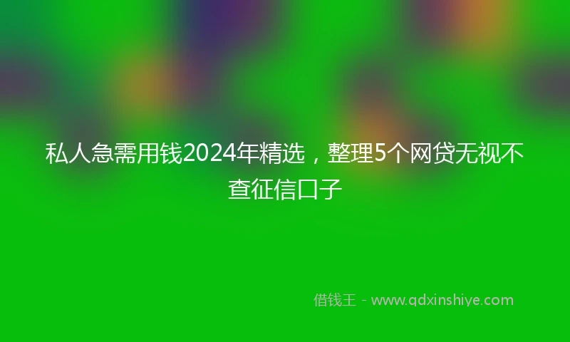 私人急需用钱2024年精选，整理5个网贷无视不查征信口子