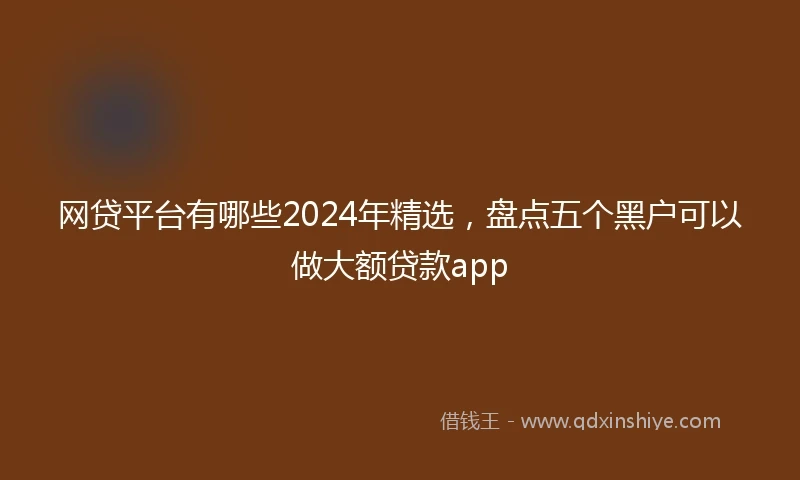 网贷平台有哪些2024年精选，盘点五个黑户可以做大额贷款app