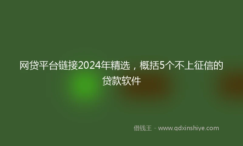 网贷平台链接2024年精选，概括5个不上征信的贷款软件
