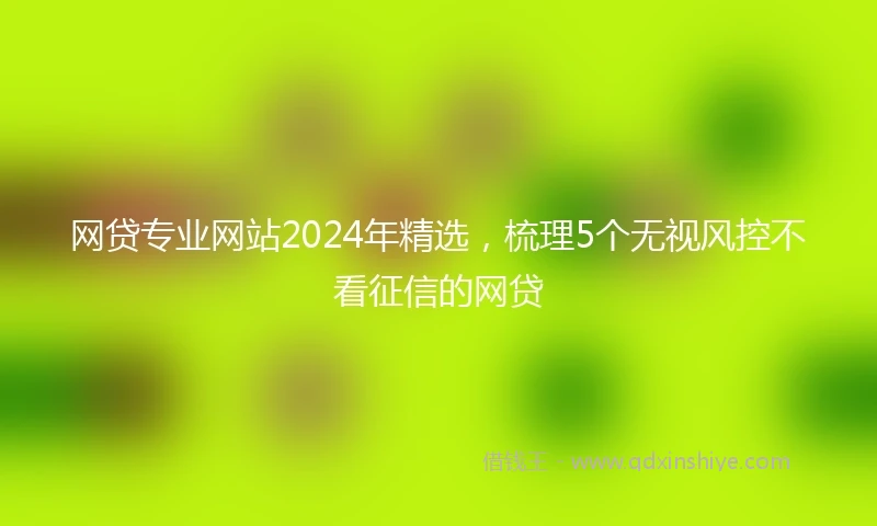 网贷专业网站2024年精选，梳理5个无视风控不看征信的网贷