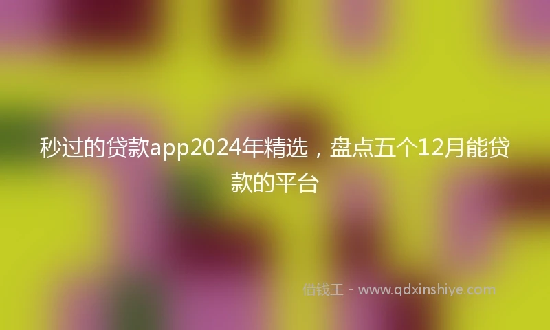 秒过的贷款app2024年精选，盘点五个12月能贷款的平台