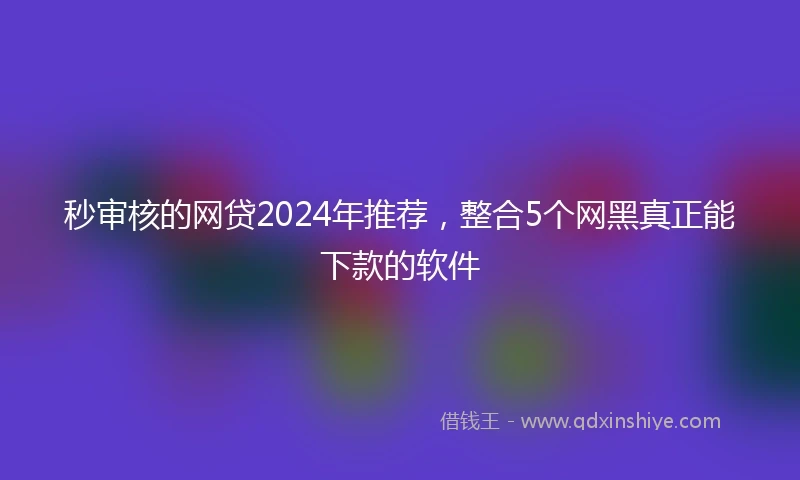 秒审核的网贷2024年推荐，整合5个网黑真正能下款的软件