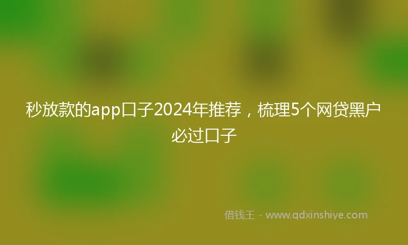 秒放款的app口子2024年推荐，梳理5个网贷黑户必过口子