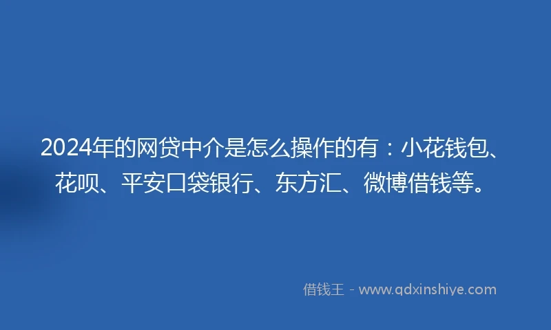 2024年的网贷中介是怎么操作的有：小花钱包、花呗、平安口袋银行、东方汇、微博借钱等。