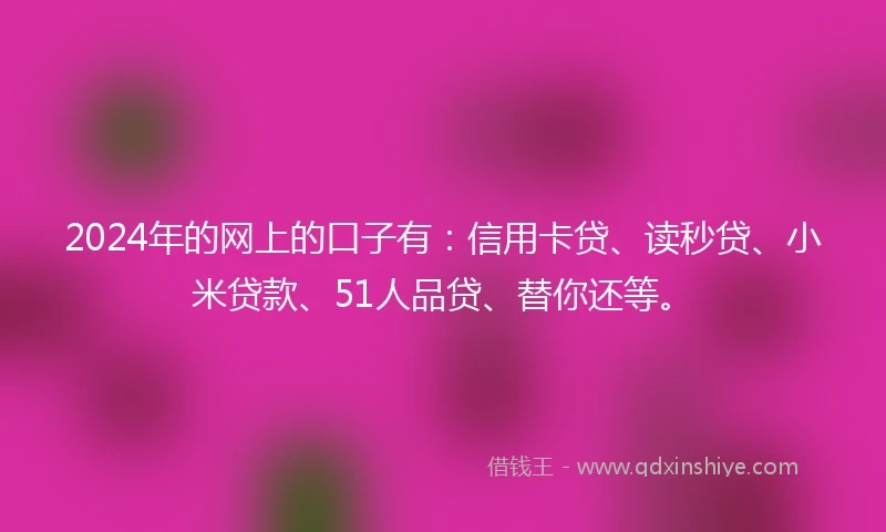 2024年的网上的口子有：信用卡贷、读秒贷、小米贷款、51人品贷、替你还等。