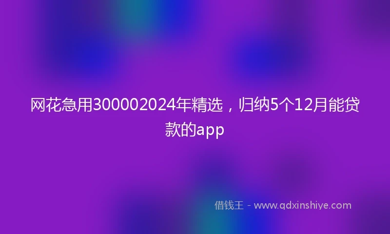 网花急用300002024年精选，归纳5个12月能贷款的app