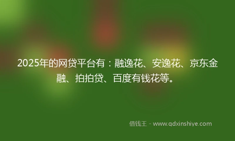 2025年的网贷平台有：融逸花、安逸花、京东金融、拍拍贷、百度有钱花等。