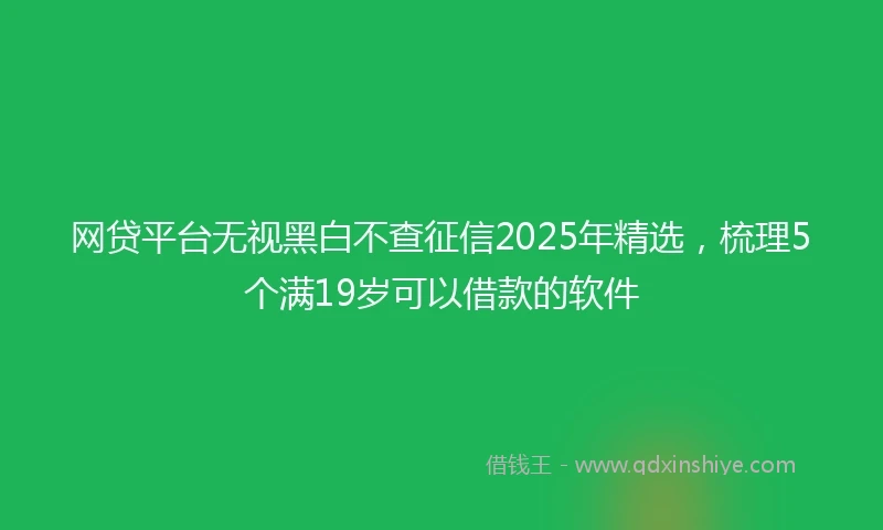 网贷平台无视黑白不查征信2025年精选，梳理5个满19岁可以借款的软件