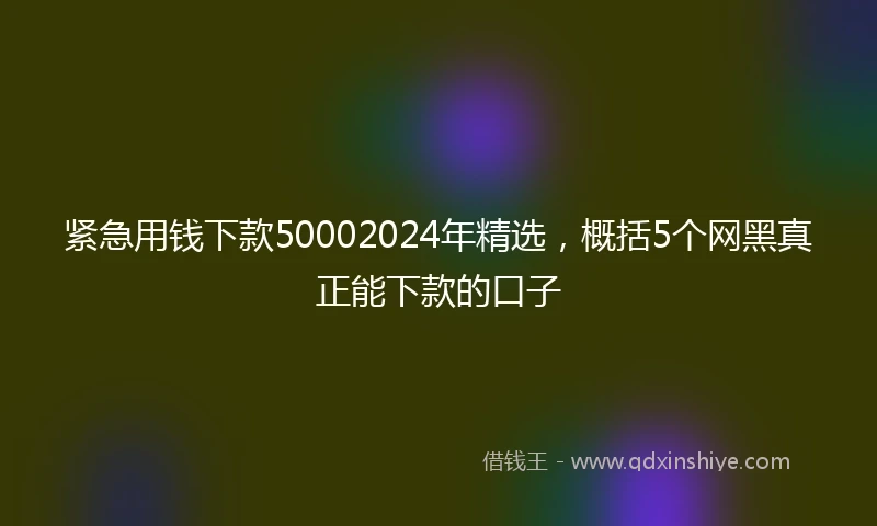 紧急用钱下款50002024年精选，概括5个网黑真正能下款的口子