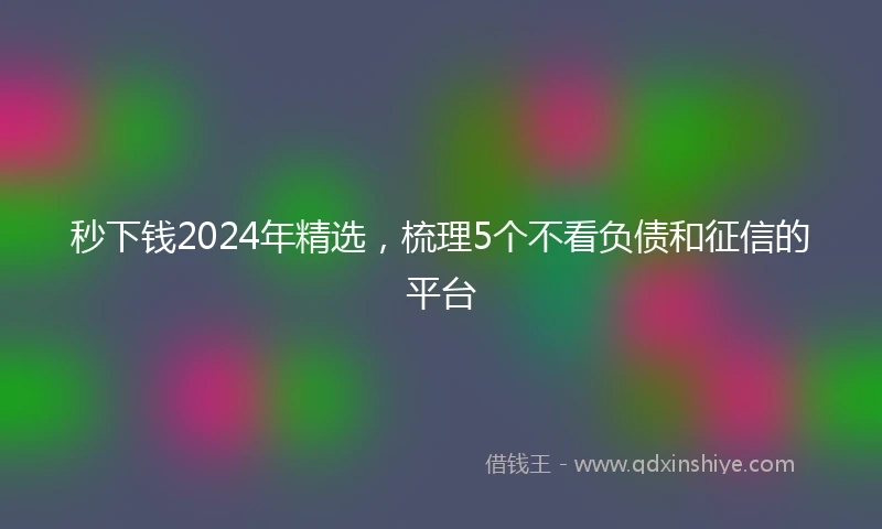 秒下钱2024年精选，梳理5个不看负债和征信的平台