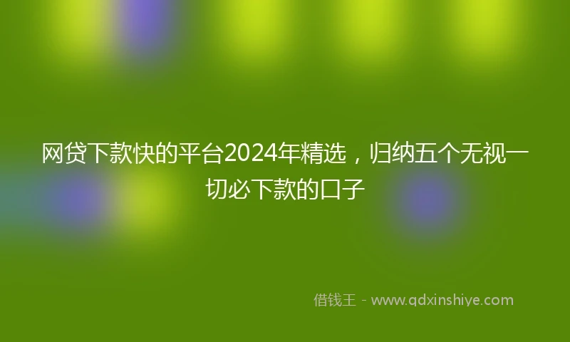 网贷下款快的平台2024年精选，归纳五个无视一切必下款的口子
