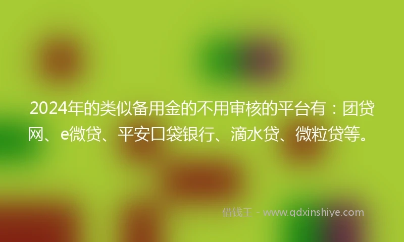 2024年的类似备用金的不用审核的平台有：团贷网、e微贷、平安口袋银行、滴水贷、微粒贷等。