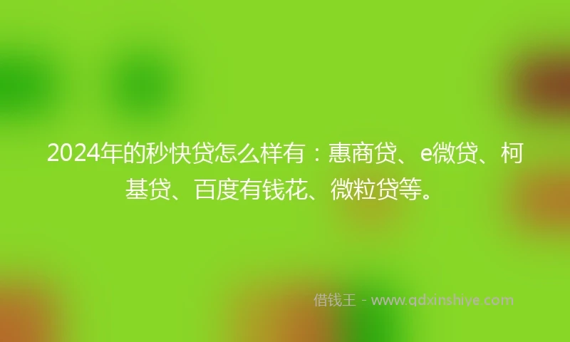2024年的秒快贷怎么样有：惠商贷、e微贷、柯基贷、百度有钱花、微粒贷等。