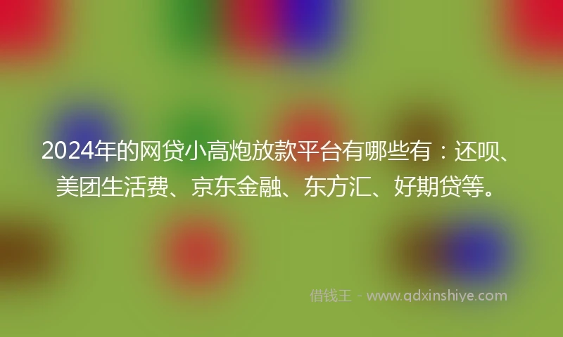 2024年的网贷小高炮放款平台有哪些有：还呗、美团生活费、京东金融、东方汇、好期贷等。