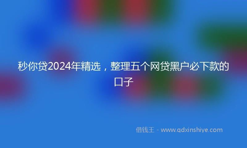 秒你贷2024年精选，整理五个网贷黑户必下款的口子
