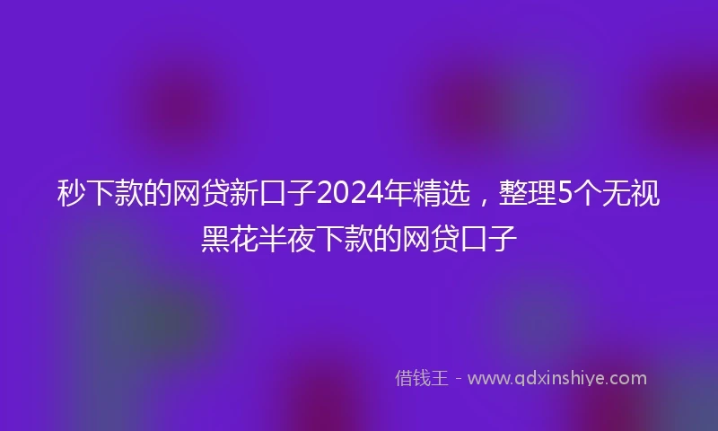 秒下款的网贷新口子2024年精选，整理5个无视黑花半夜下款的网贷口子