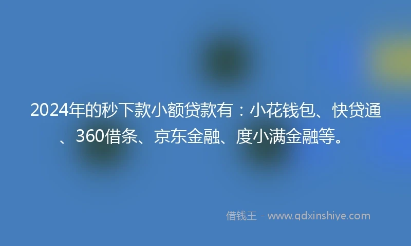 2024年的秒下款小额贷款有：小花钱包、快贷通、360借条、京东金融、度小满金融等。