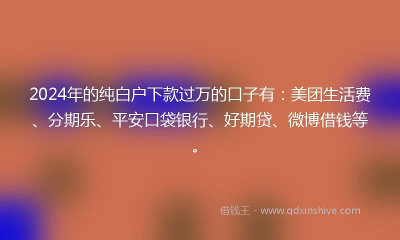 2024年的纯白户下款过万的口子有：美团生活费、分期乐、平安口袋银行、好期贷、微博借钱等。