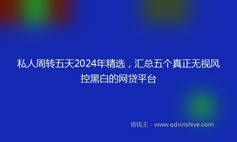 私人周转五天2024年精选，汇总五个真正无视风控黑白的网贷平台
