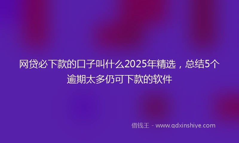 网贷必下款的口子叫什么2025年精选，总结5个逾期太多仍可下款的软件