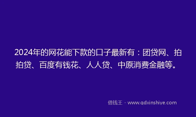 2024年的网花能下款的口子最新有：团贷网、拍拍贷、百度有钱花、人人贷、中原消费金融等。