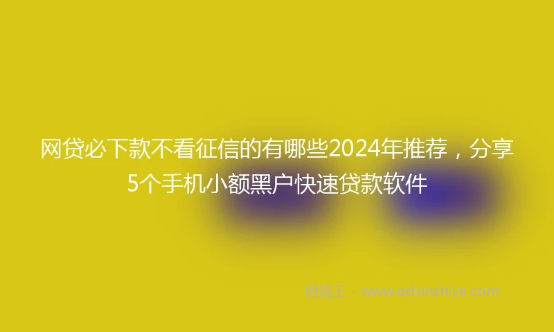网贷必下款不看征信的有哪些2024年推荐，分享5个手机小额黑户快速贷款软件