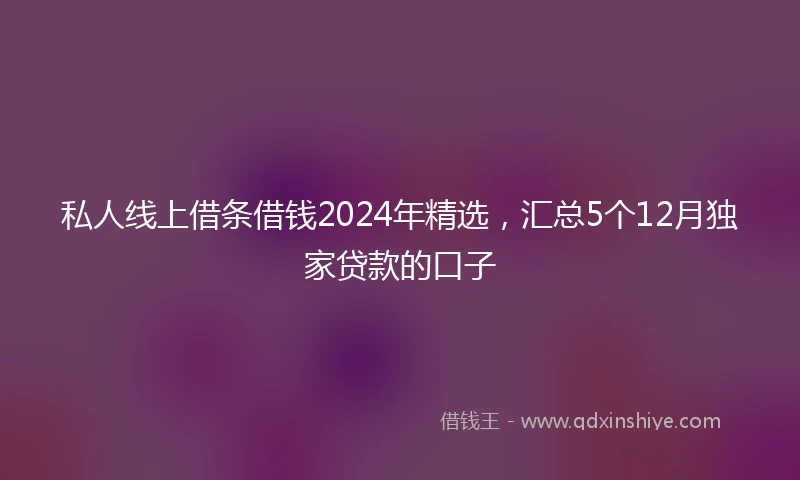 私人线上借条借钱2024年精选，汇总5个12月独家贷款的口子