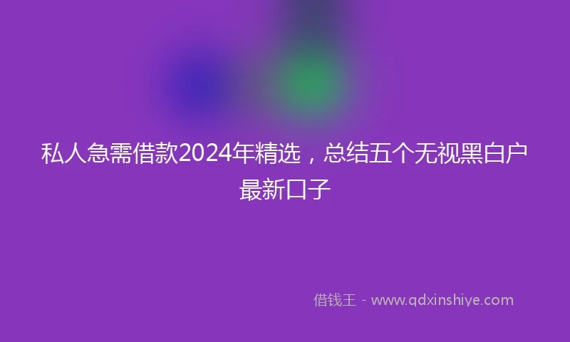 私人急需借款2024年精选，总结五个无视黑白户最新口子