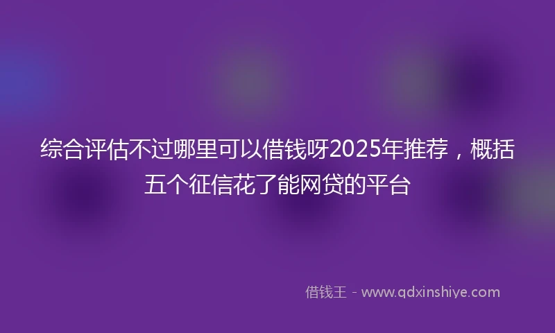 综合评估不过哪里可以借钱呀2025年推荐,概括五个征信花了能网贷的平台